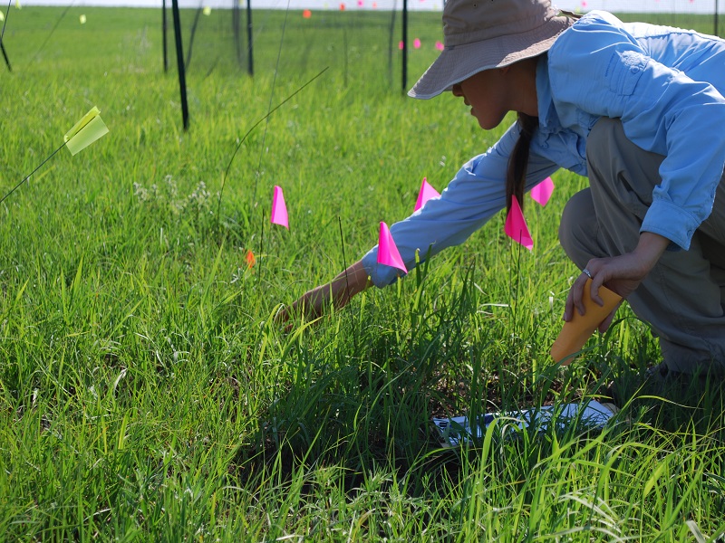 Calf photo by Barbara Van Slyke