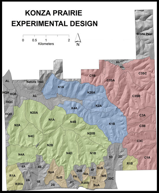 Konza experimental design